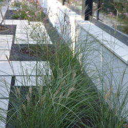 Tuin met pad laten aanleggen Tuin met pad laten aanleggen